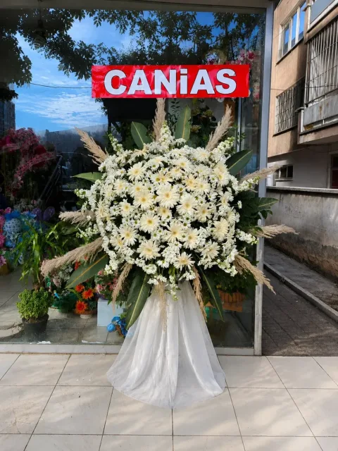 Beyaz Gerbera ve Pampas Ferforje Çiçeği