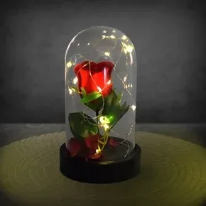 Fanus içinde LED ışıklı Gül