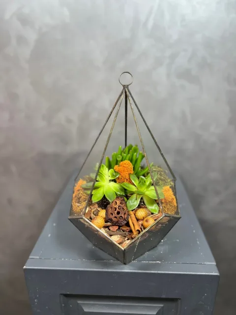 Geometrik Teraryum