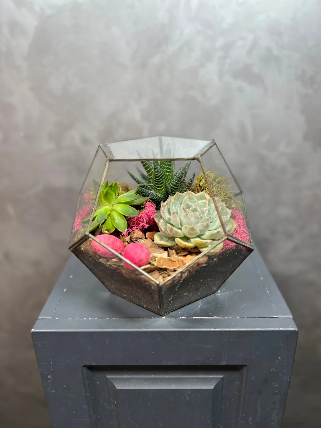 XL Geometrik Teraryum