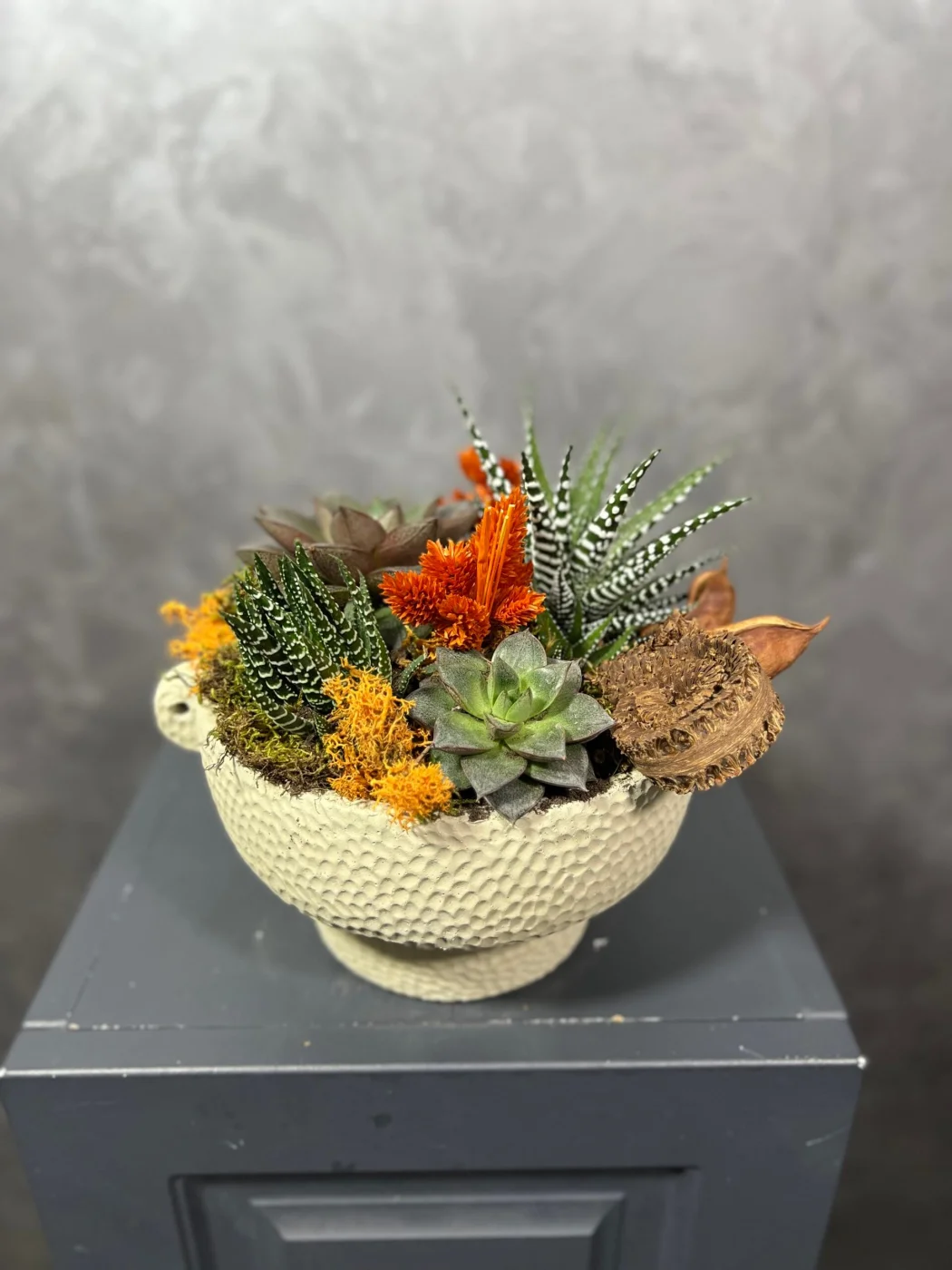 Stylish Plant Terrarium