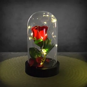 Fanus içinde LED ışıklı Gül