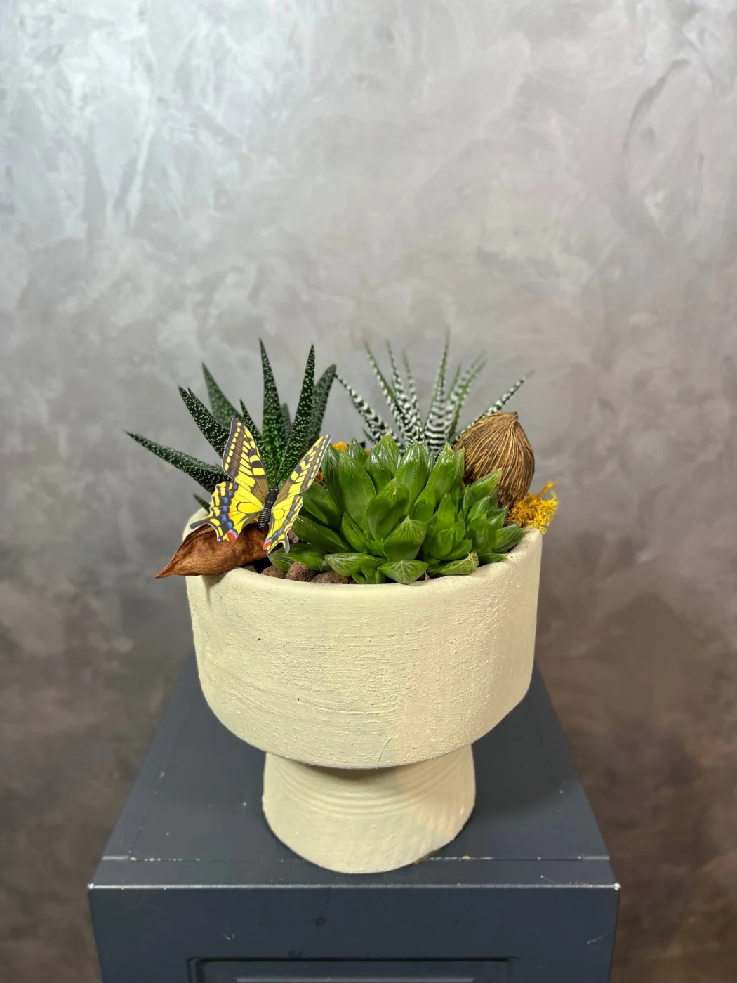 Succulent Terrarium
