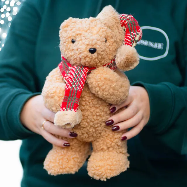 Küçük Boy Peluş Ayıcık