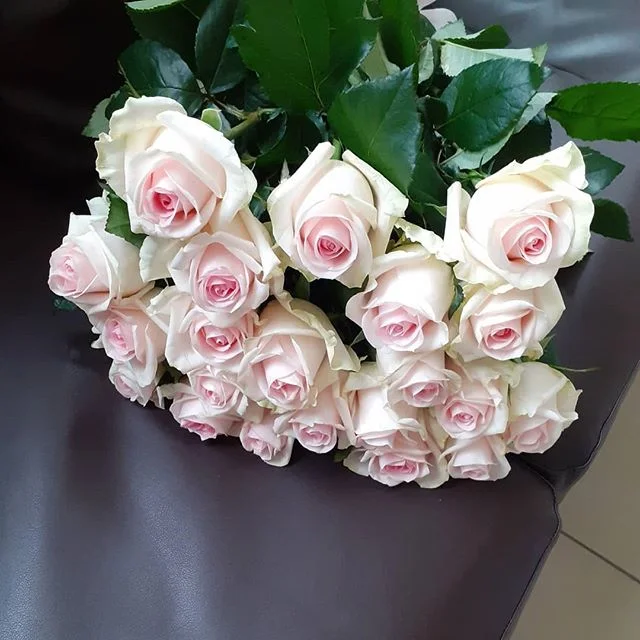 25 Pembe Gül Buketi – Tasarım 2