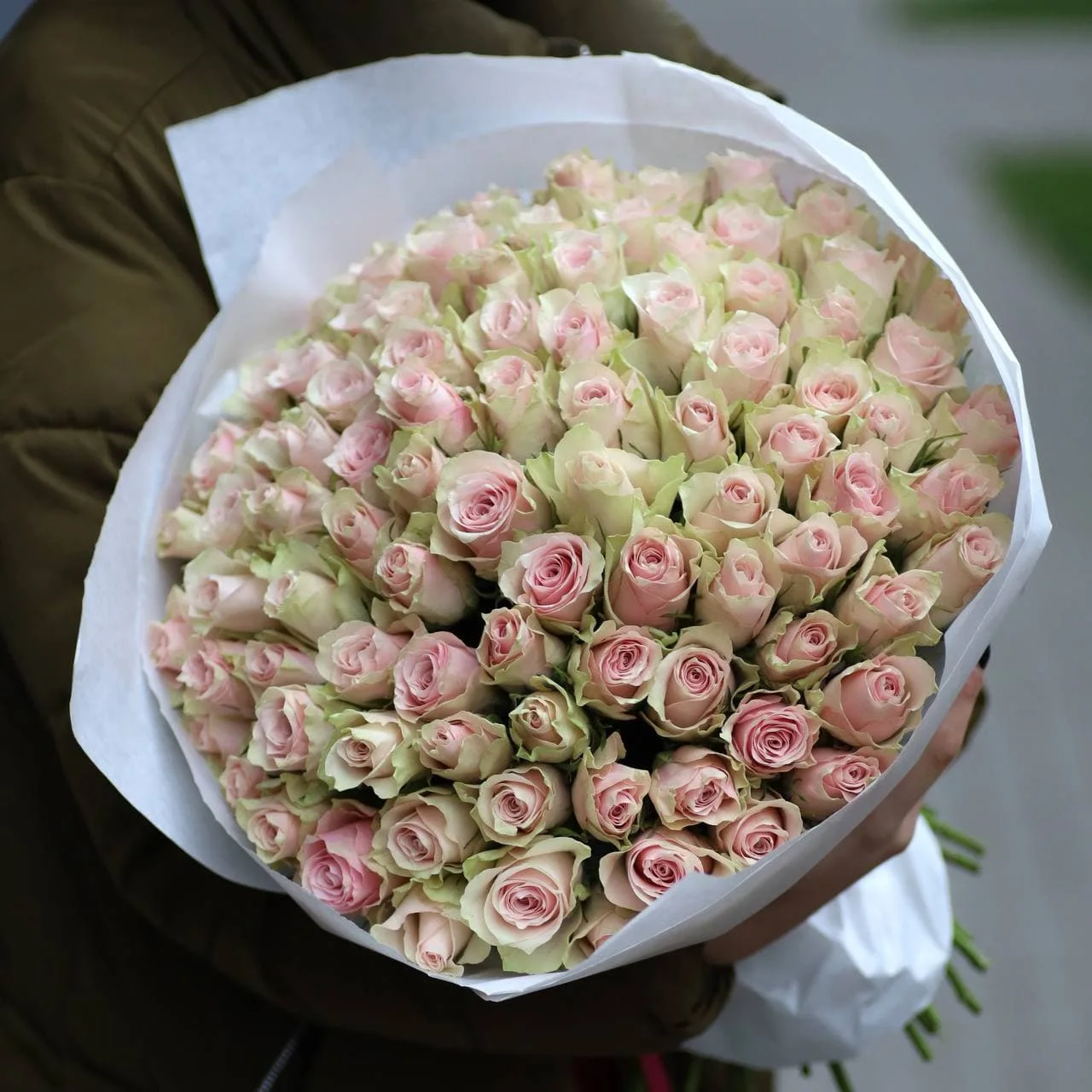 101 Pembe Gül Buketi – Pink Athena