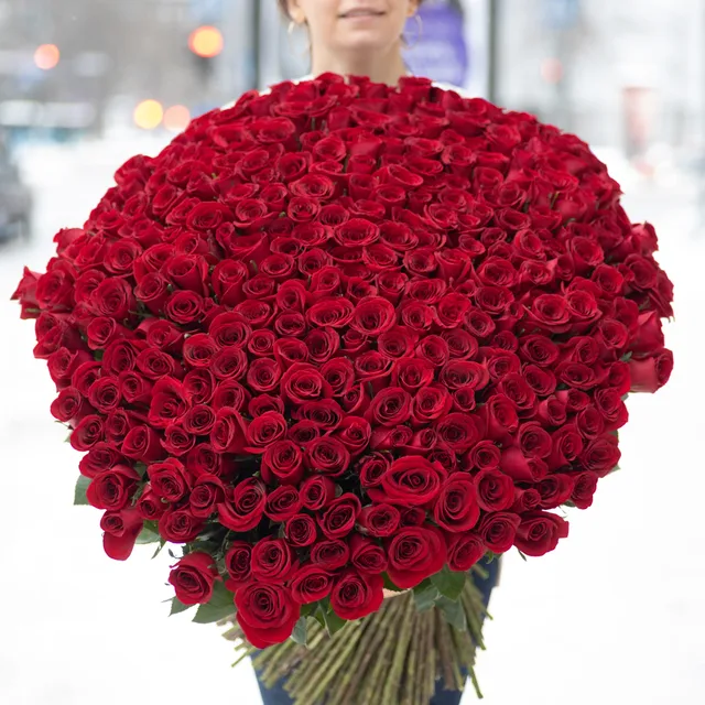 301 Kırmızı Gül Buketi – 70 cm
