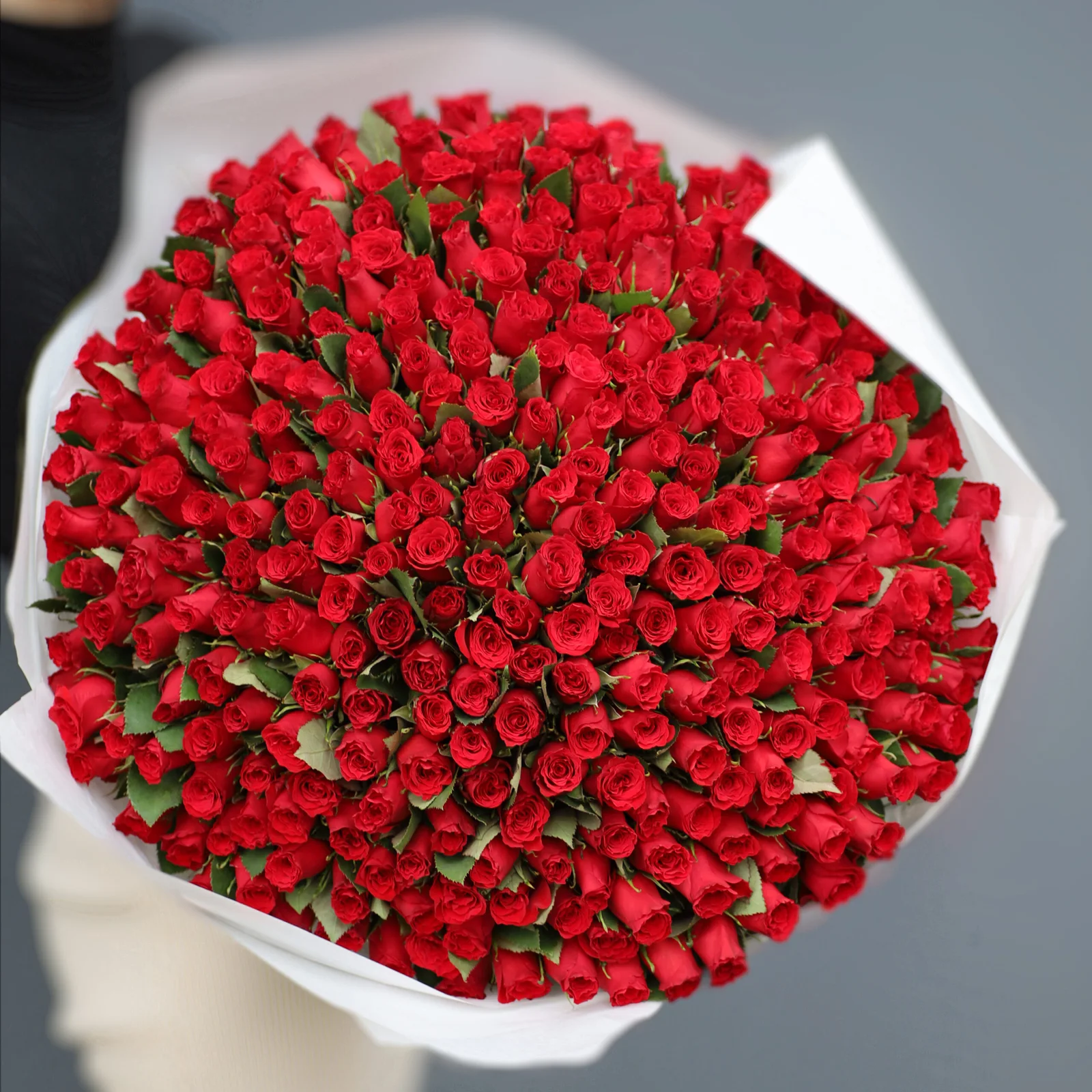 301 Kırmızı Gül Buketi – 50 cm